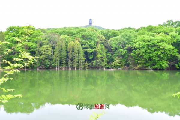 腾龙阁