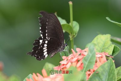 武清区青少年活动中心