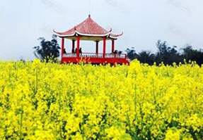 君悦山庄
