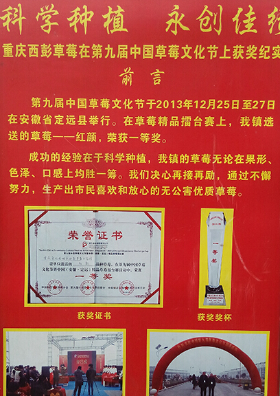 周草莓