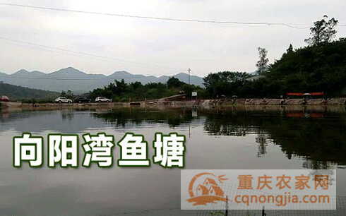 向阳湾垂钓园