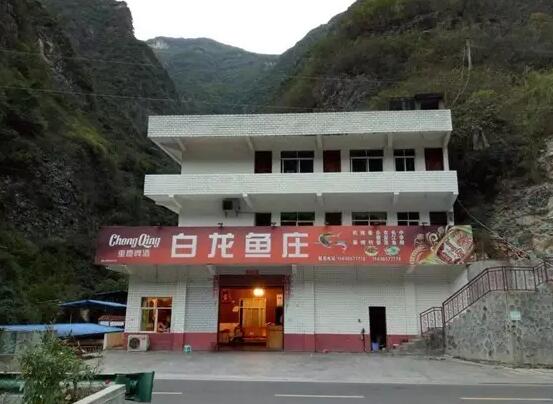白龙鱼庄