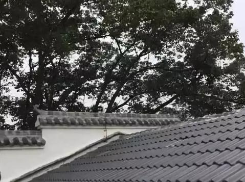 巴廉寺民宿