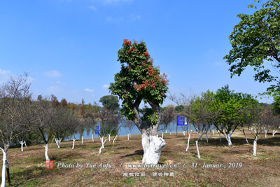 长洲县学大成殿