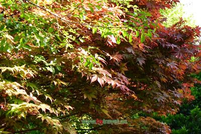 雾灵山清凉界石刻