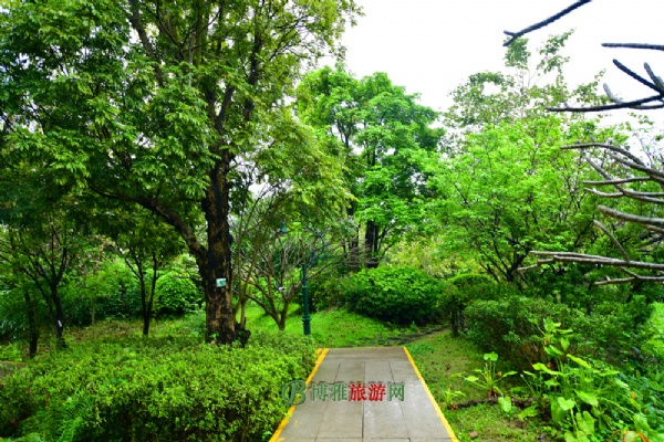 广州海珠国家湿地公园(海珠湿地公园)