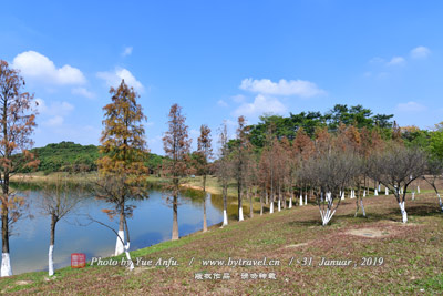 东平路9号