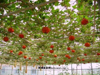 晶宝温泉农庄