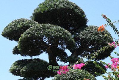 三亚疍家文化陈列馆