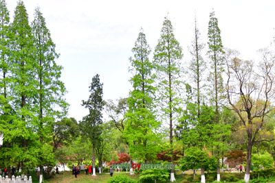 龟兹故城