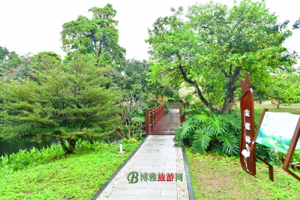 广州海珠国家湿地公园(海珠湿地公园)