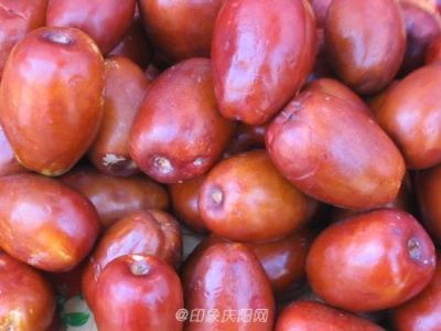 宁县九龙金枣