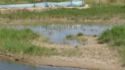 新城草湖国家湿地公园