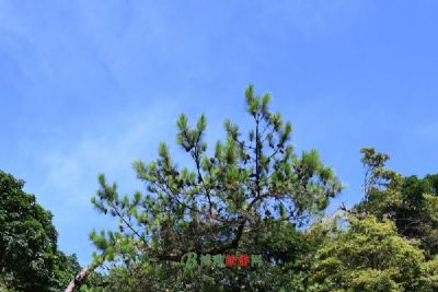 二郎庙景区