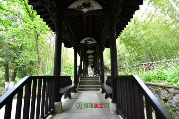 隆中老龙洞