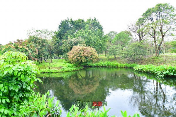 广州海珠国家湿地公园(海珠湿地公园)