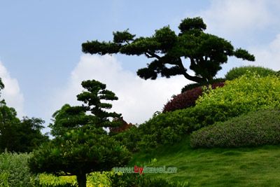 盘阳村传统民居