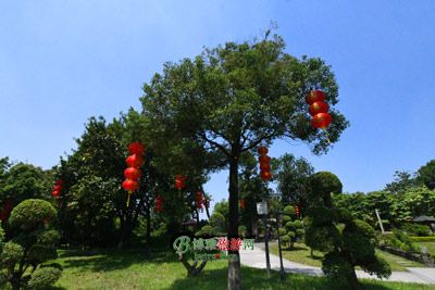 亚马训户外拓展俱乐部