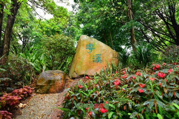 广州海珠国家湿地公园(海珠湿地公园)