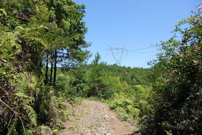 温州畲乡古道