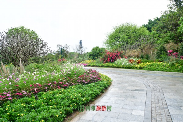 广州海珠国家湿地公园(海珠湿地公园)