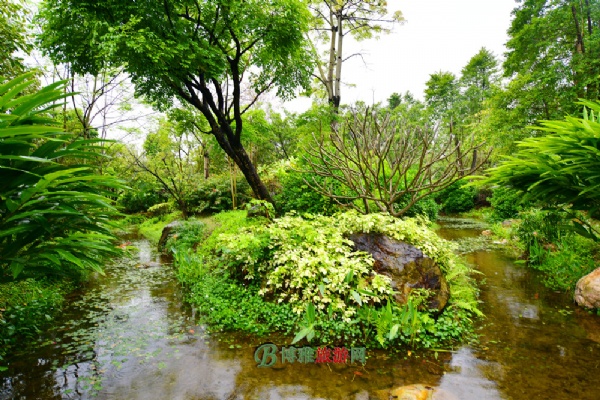 广州海珠国家湿地公园(海珠湿地公园)