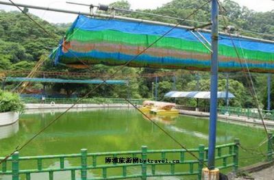 金鸟海族乐园
