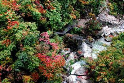牛头山古道