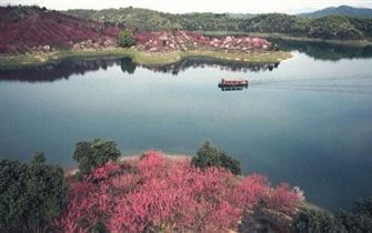 花源谷