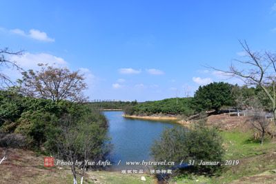 姜州花湖景区