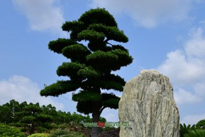 牛家大院