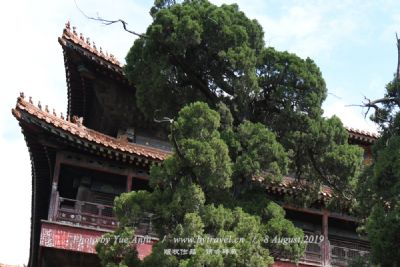 石塘北帝庙址