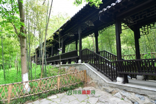 隆中老龙洞
