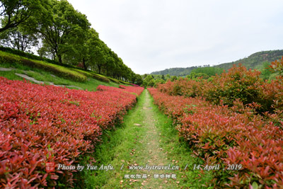 欧阳山旧居