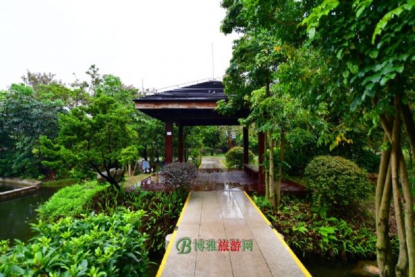 广州海珠国家湿地公园(海珠湿地公园)