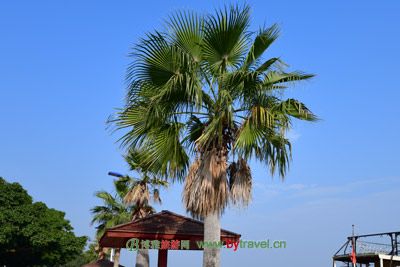 椰子洲岛