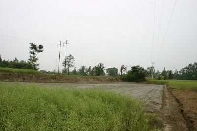 大杨孙家岗遗址