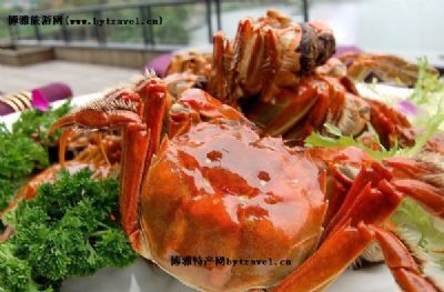 赛城湖大闸蟹