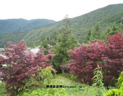 太平山森林游乐区