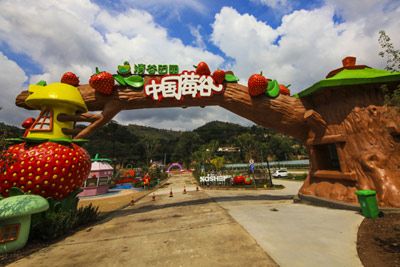 太峪草莓基地