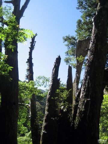 拉拉山风景特定区