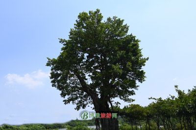 河沟遗址