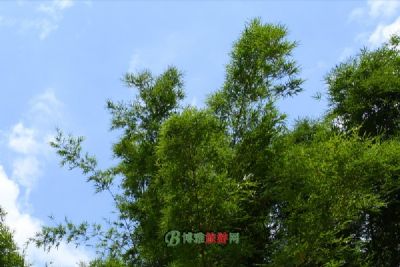 塘子沟遗址