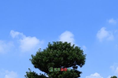 二里界遗址