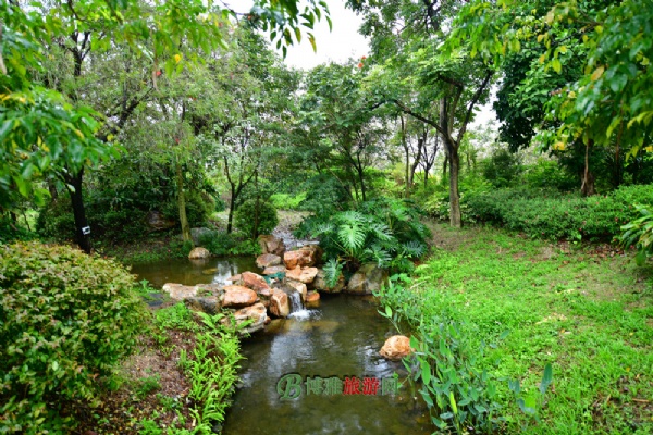 广州海珠国家湿地公园(海珠湿地公园)