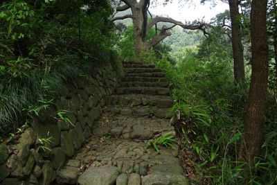 马岭森林古道