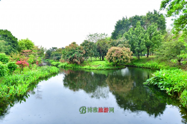 广州海珠国家湿地公园(海珠湿地公园)