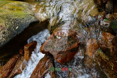 黑龙江呼兰国家森林公园