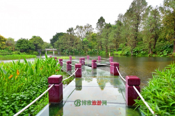 广州海珠国家湿地公园(海珠湿地公园)