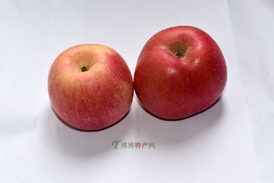 牡丹江金红苹果